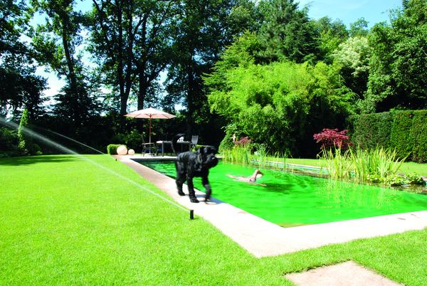 Bewässerung im Garten mit Pool