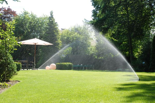 Beispielhafte Gartensituation mit Terrasse
