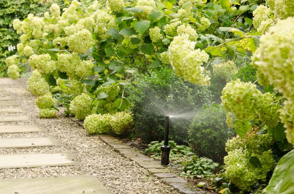 Weg zwischen Hecke und Blühpflanzen mit aktiver Bewässerung